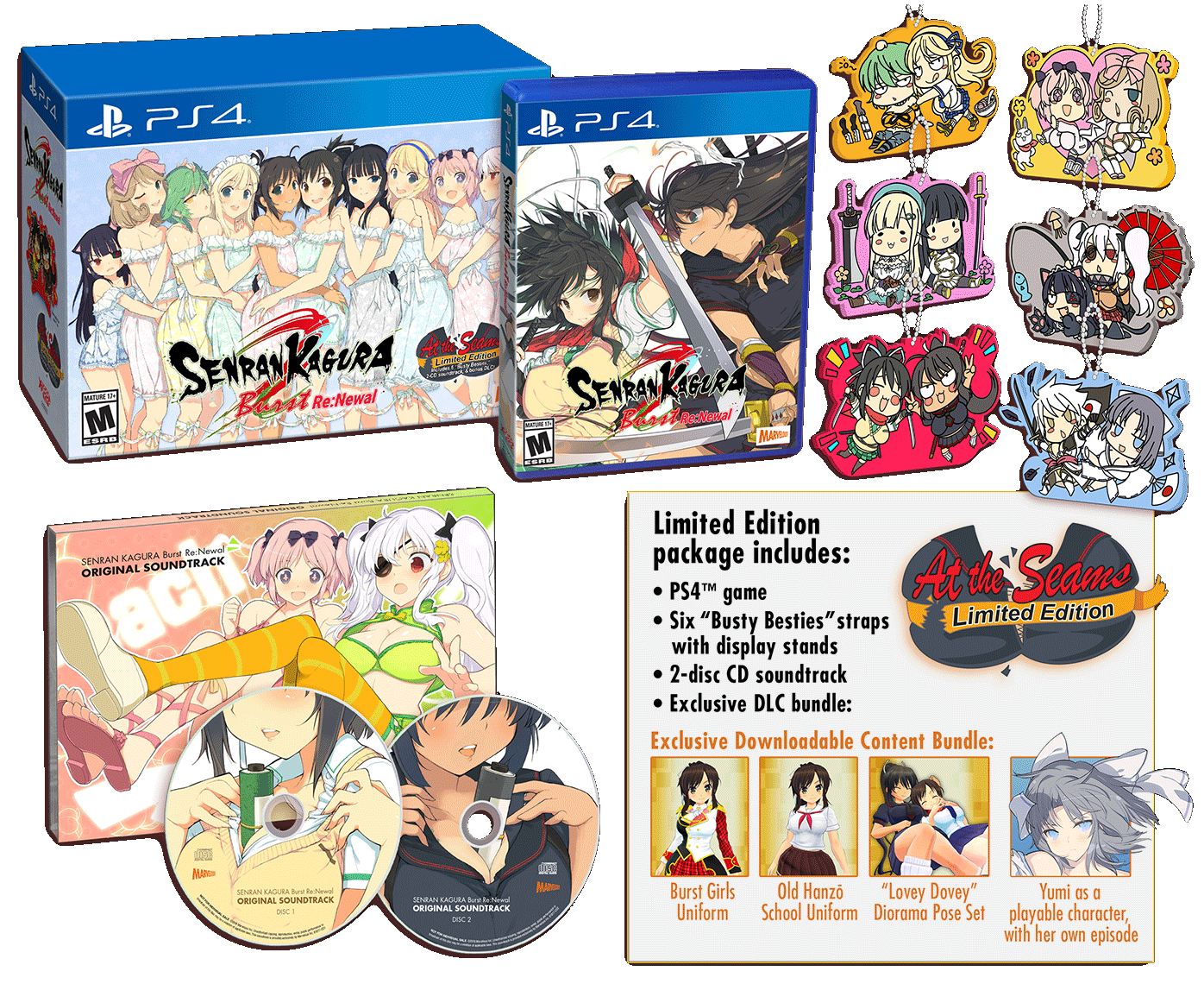 SENRAN KAGURA Burst Re:Newal - At the Seams Edition